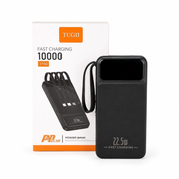PowerBank Y100